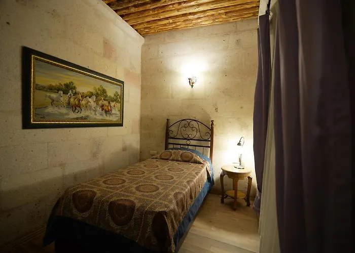 イン Babayan Evi Cave ウルギュップ